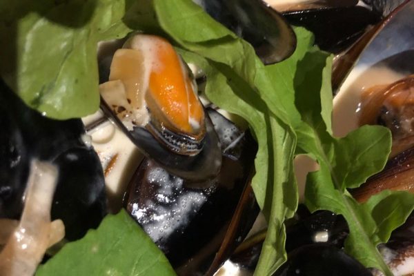 Miesmuscheln in Sahnesoße mit Ruccola Salat