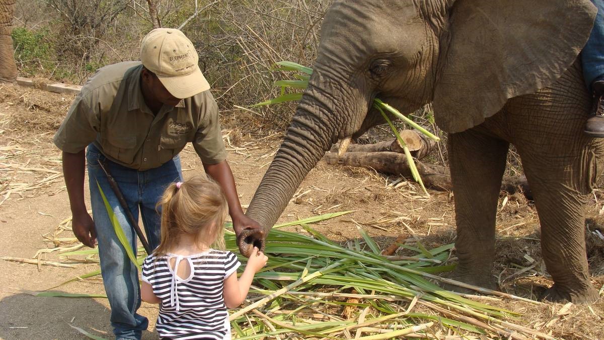 Interaktion mit Elefanten auf der großen Südafrika Rundreise - Elephant Whispers